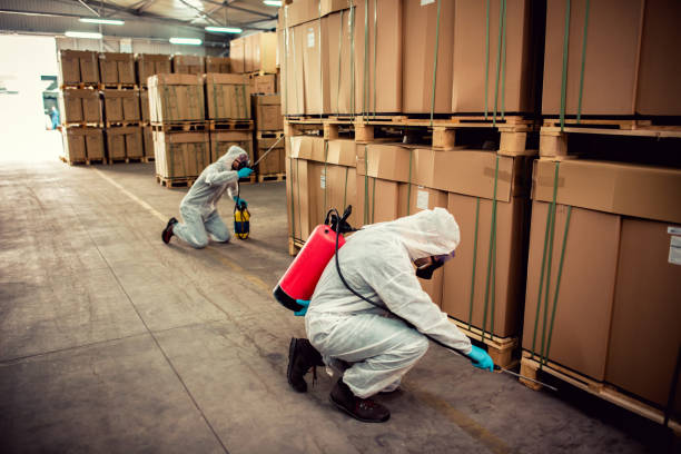 Best Commercial Pest Control Services  in Plainfield Village, CT