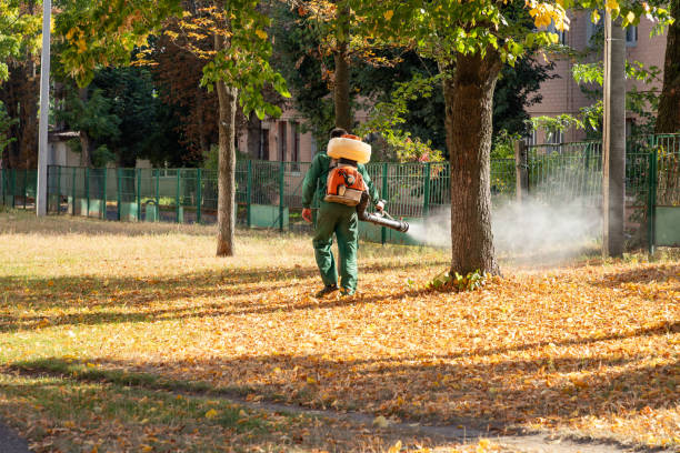 Best Pest Prevention Services  in Plainfield Village, CT