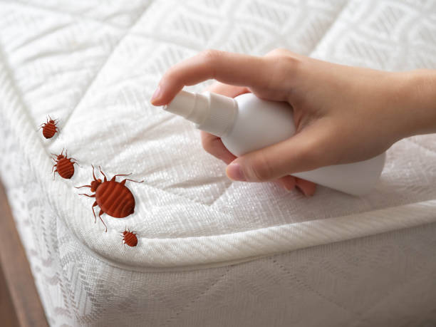 Best Pest Removal Services  in Plainfield Village, CT