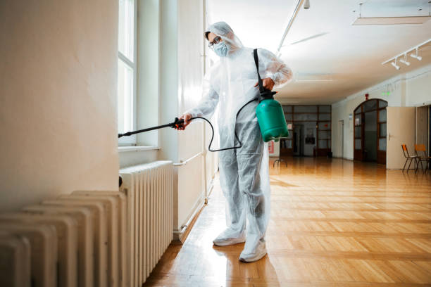 Best Flea Control Services  in Plainfield Village, CT
